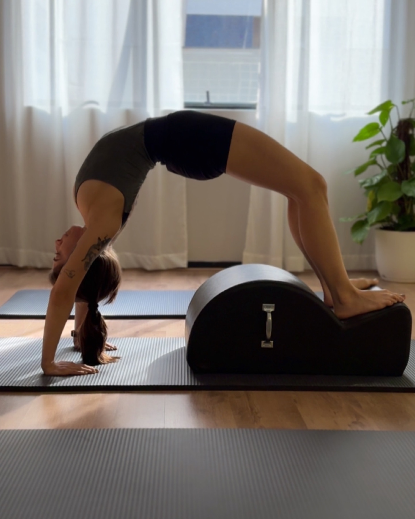 Aula avulsa de Mat Pilates Clássico