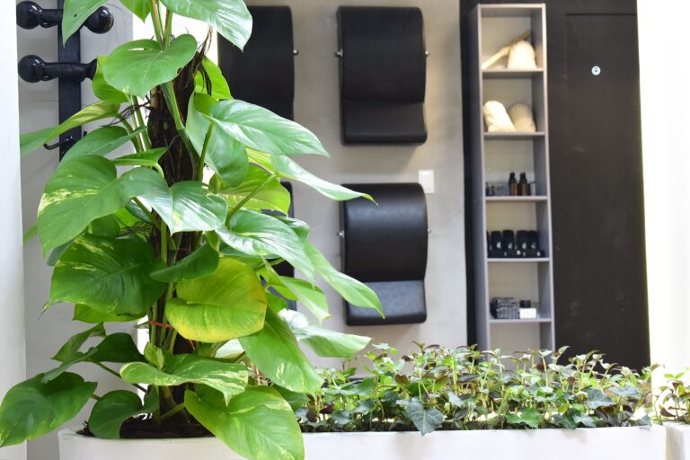 Studio Vivae - Mat Pilates